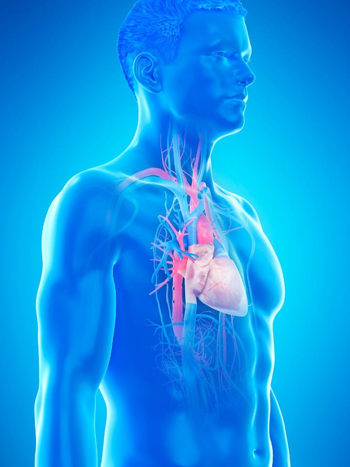 Cardio RMN — Risonanza Magnetica Cardiaca